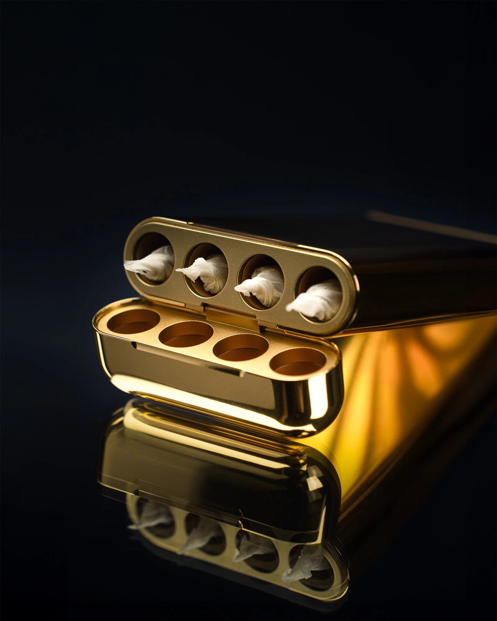Premium Joint Case | Holk Carry Case