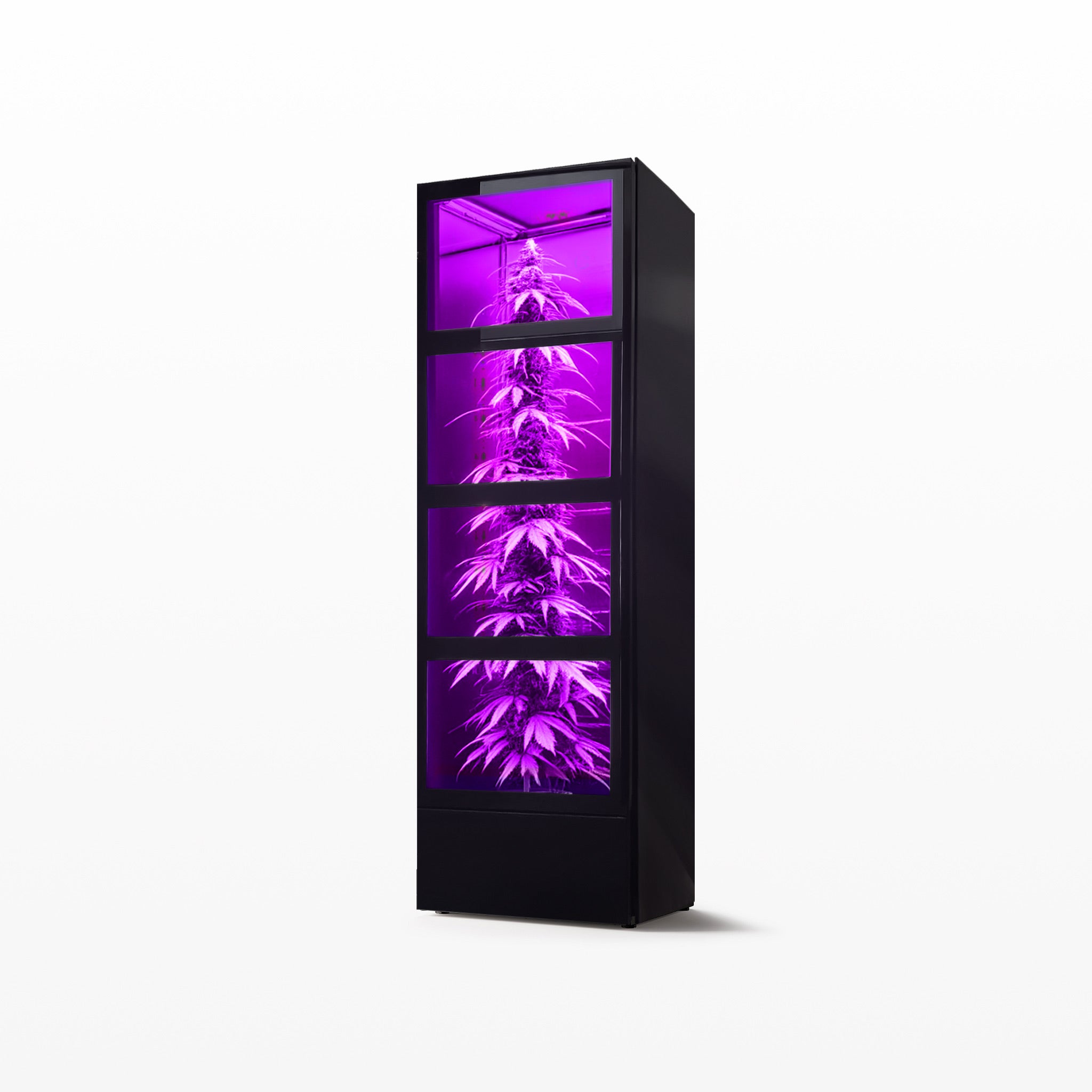 Horto1 | Growschrank für Cannabis