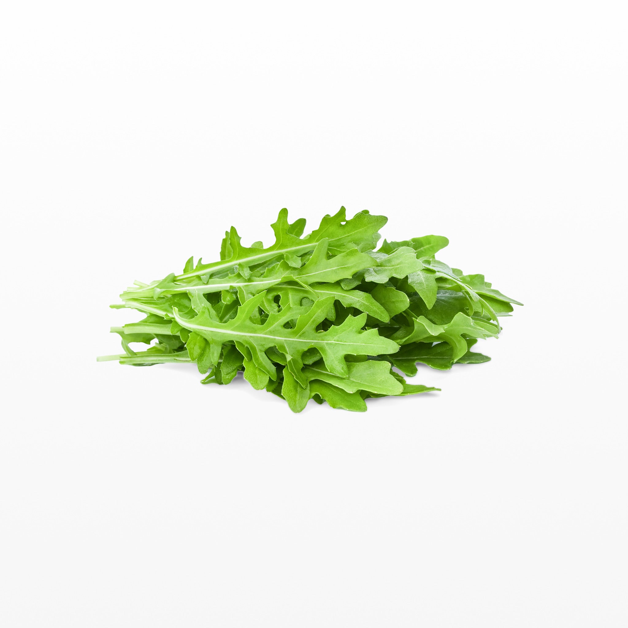 Rucola