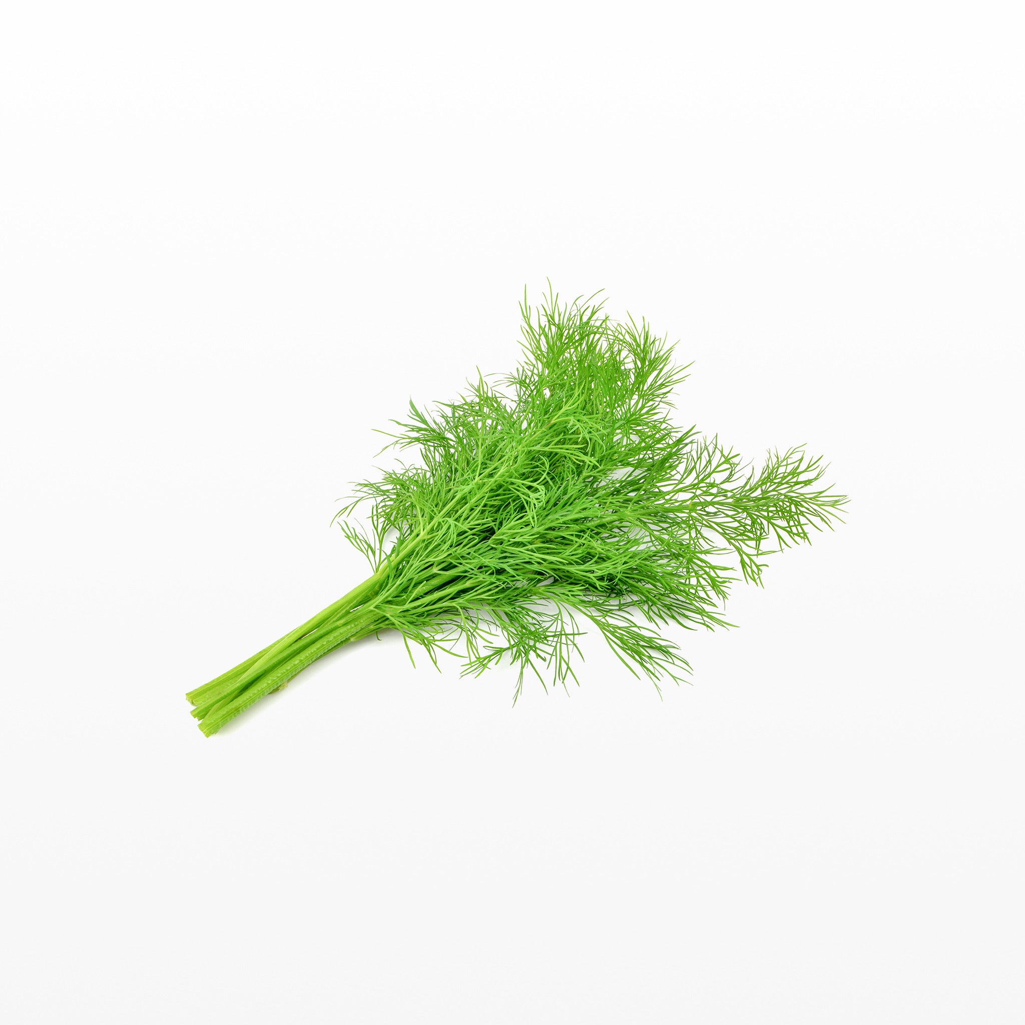 Dill-Sprossen