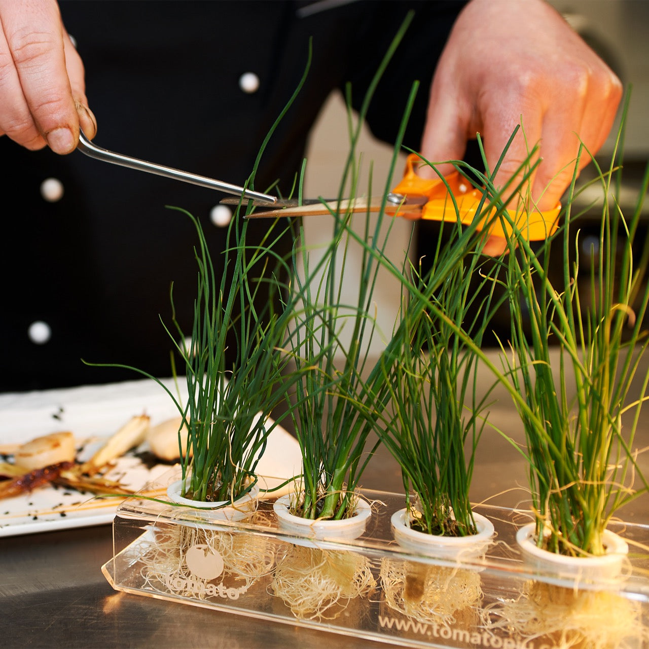 Kapselhalter für Microgreens